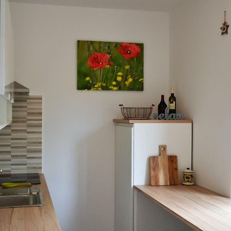 Apartment Istrian View Šmarje 外观 照片