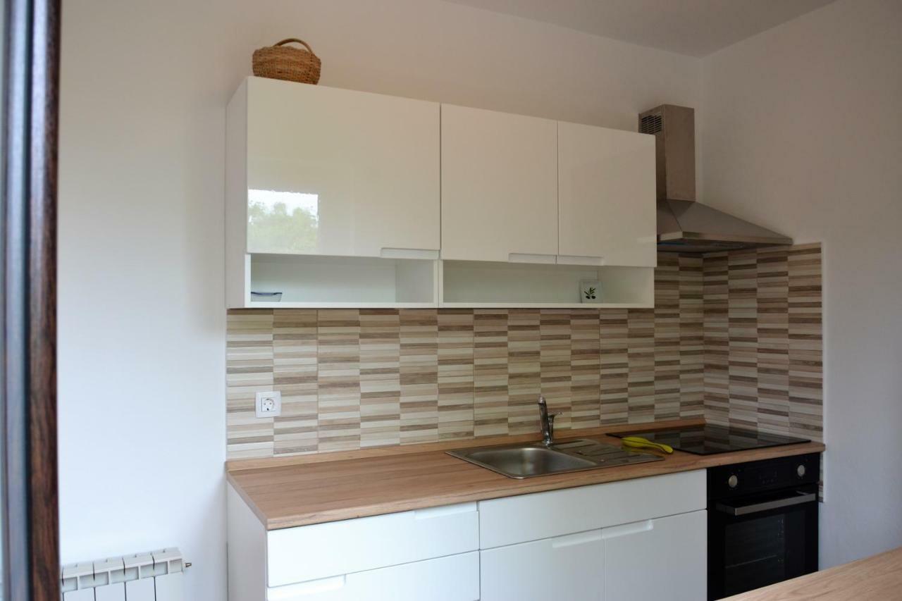 Apartment Istrian View Šmarje 外观 照片