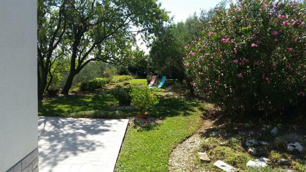Apartment Istrian View Šmarje 外观 照片