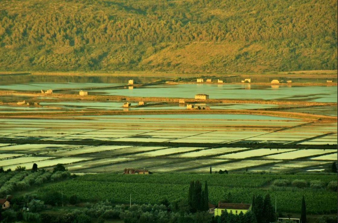 Apartment Istrian View Šmarje 外观 照片